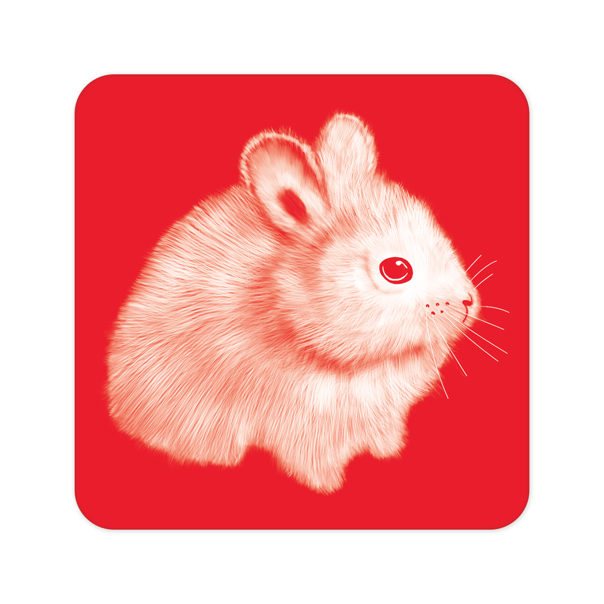 Columbia Basin Pygmy Rabbit Magnet